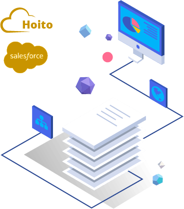 O Hoito foi criado na plataforma Salesforce